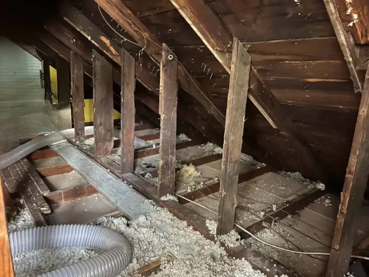 Best Insulation Removal Services in Round Rock, TX