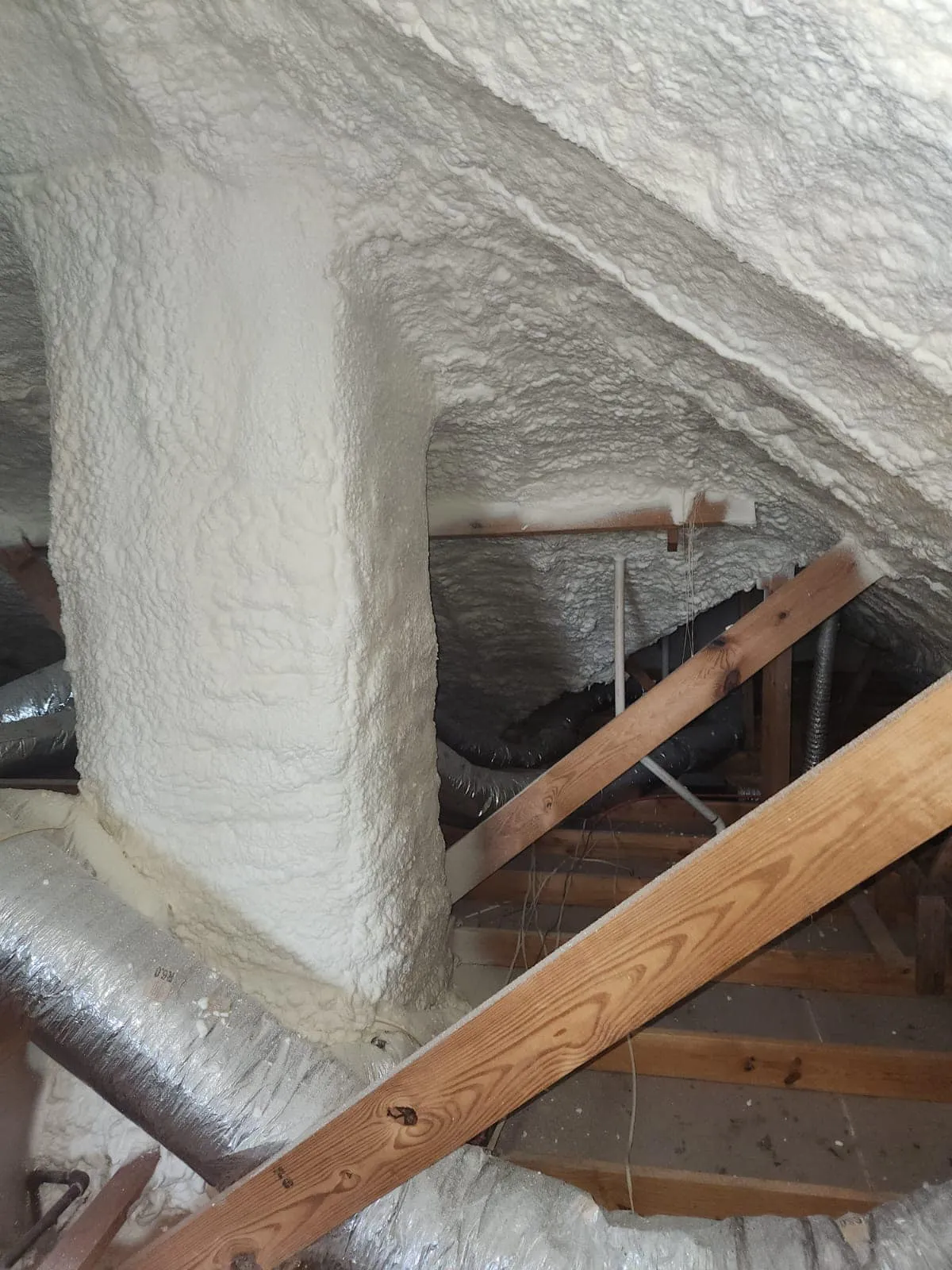 Attic Cleaning and Sanitizing Attic Cleaning and Sanitizing Services