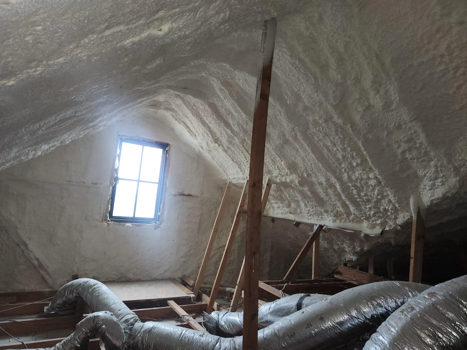 Attic Cleaning and Sanitizing