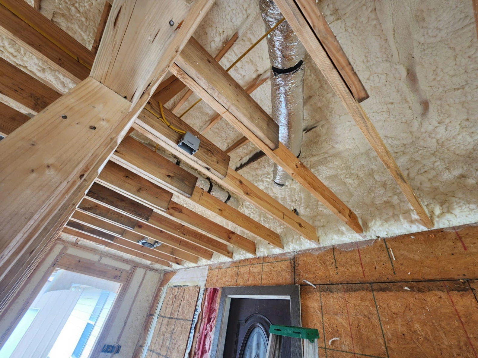 A Look at How Professional Insulation Protects Against Expensive Mold and Mildew Issues How Professional Insulation Prevents Costly Mold & Mildew