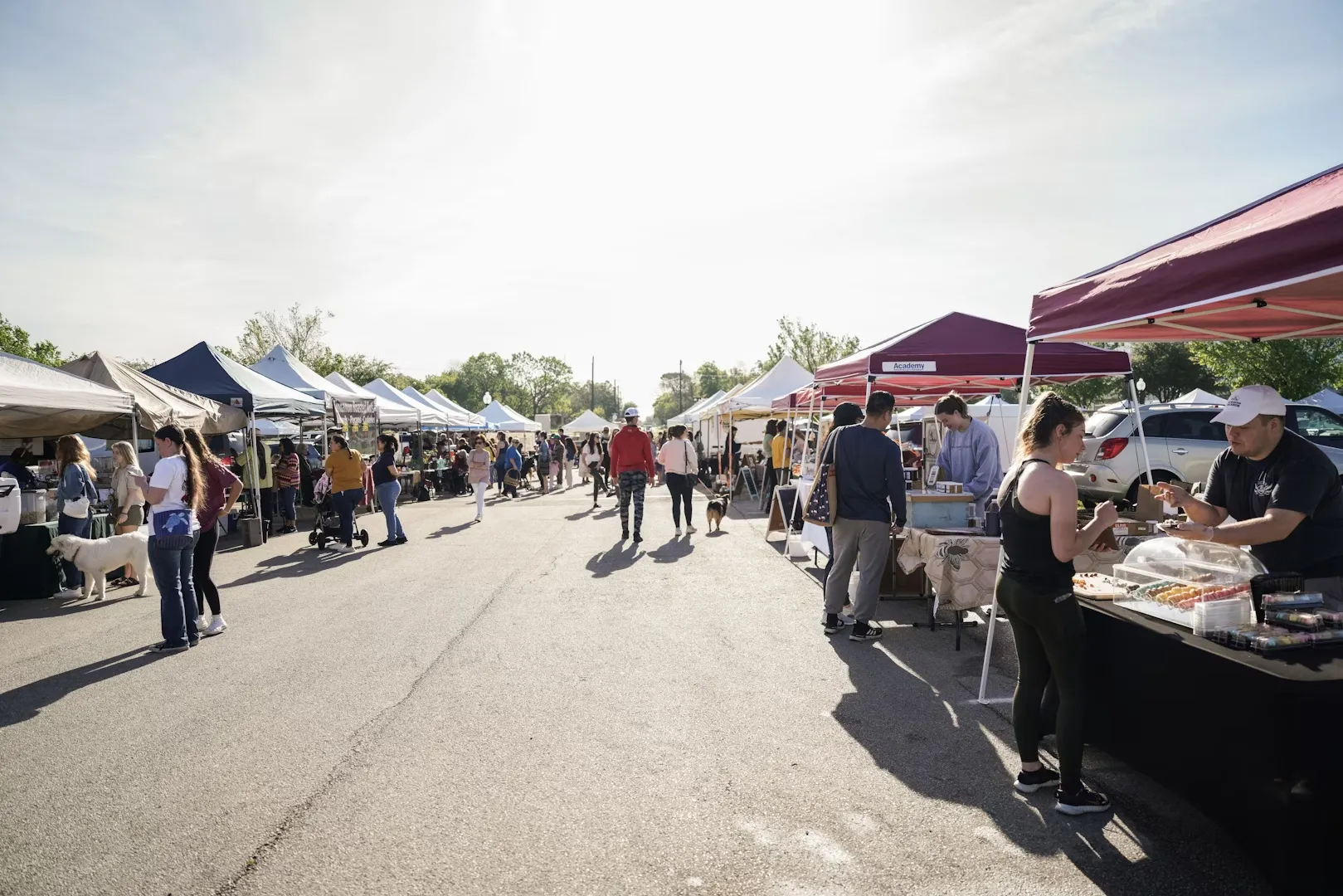Brazos Valley Farmers Market in College Station, TX