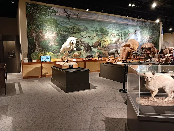 Brazos Valley Museum of Natural History in Bryan, TX