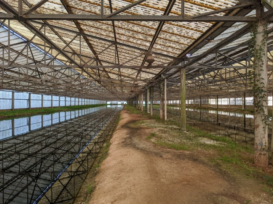 Hornsby Bend Bird Observatory