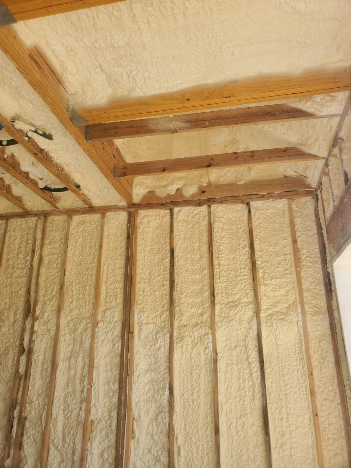 Spray Foam Insulation Services in Lockhart, TX